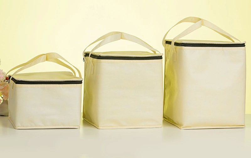 Cake Cooler Bag Thermal Bag Fast Food Barbecue Cooler Bag Large